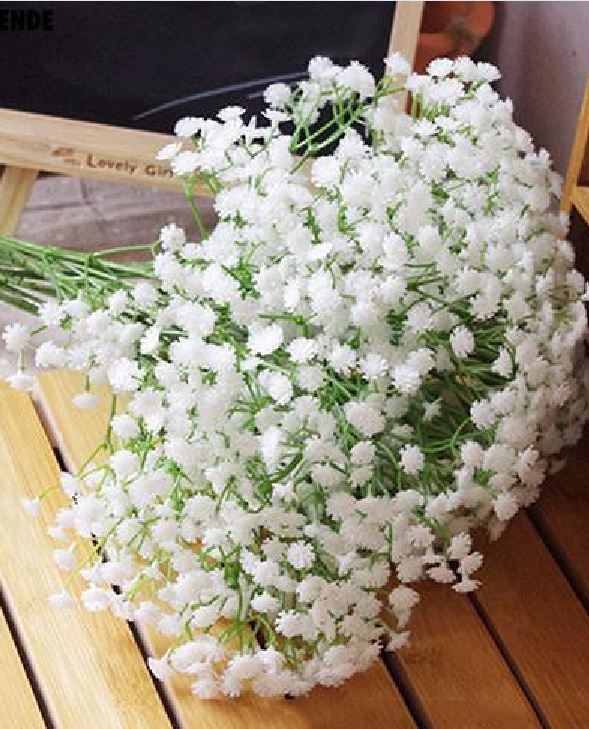 Hạt giống hoa Baby trắng – Gói 100 Hạt