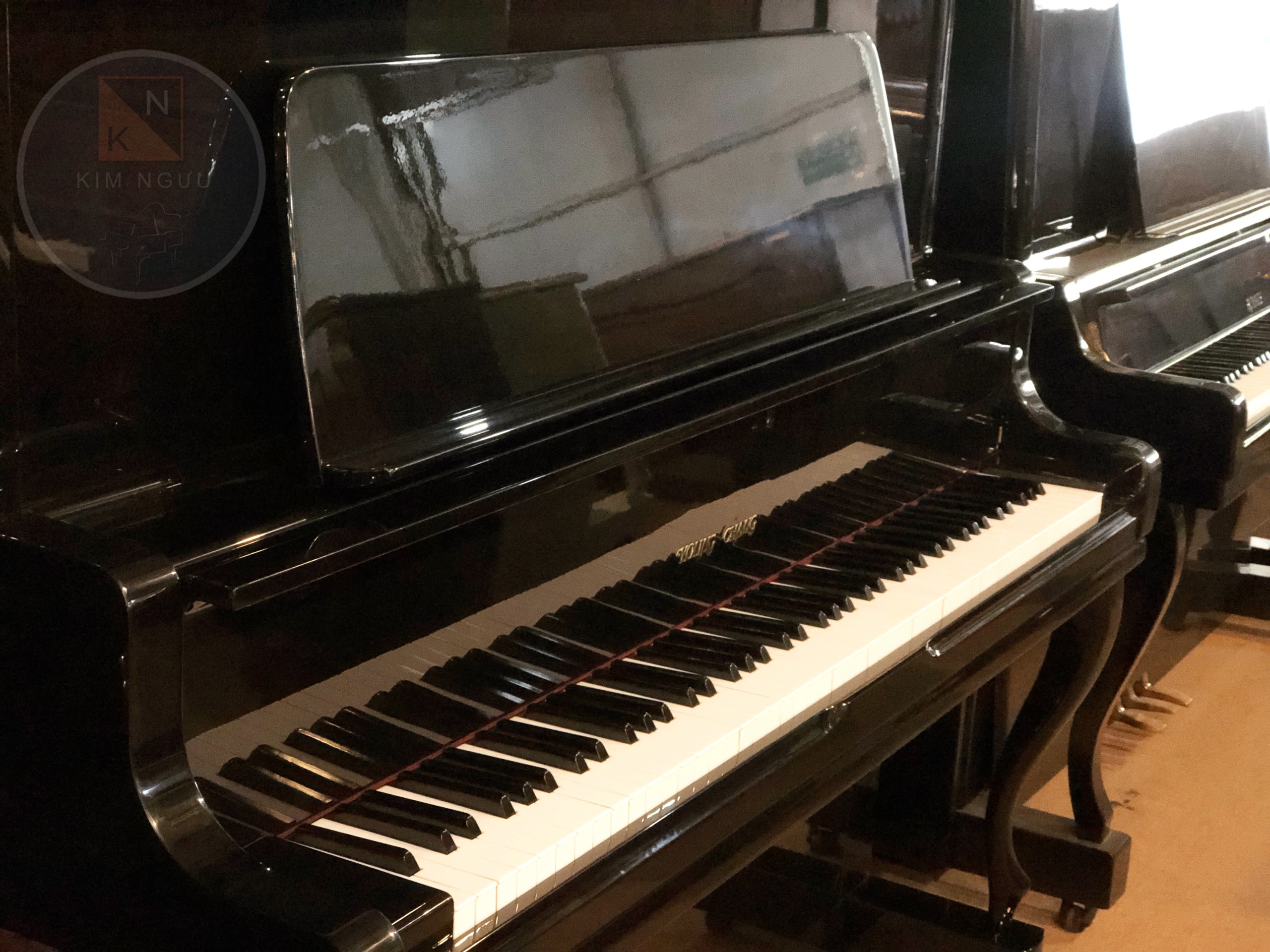 ĐÀN PIANO YOUNG CHANG U131