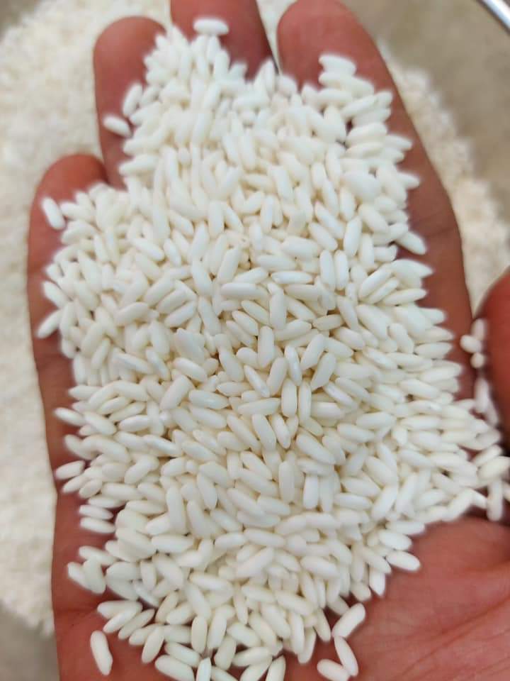 Gạo Nếp Cái Hoa Vàng - 1kg