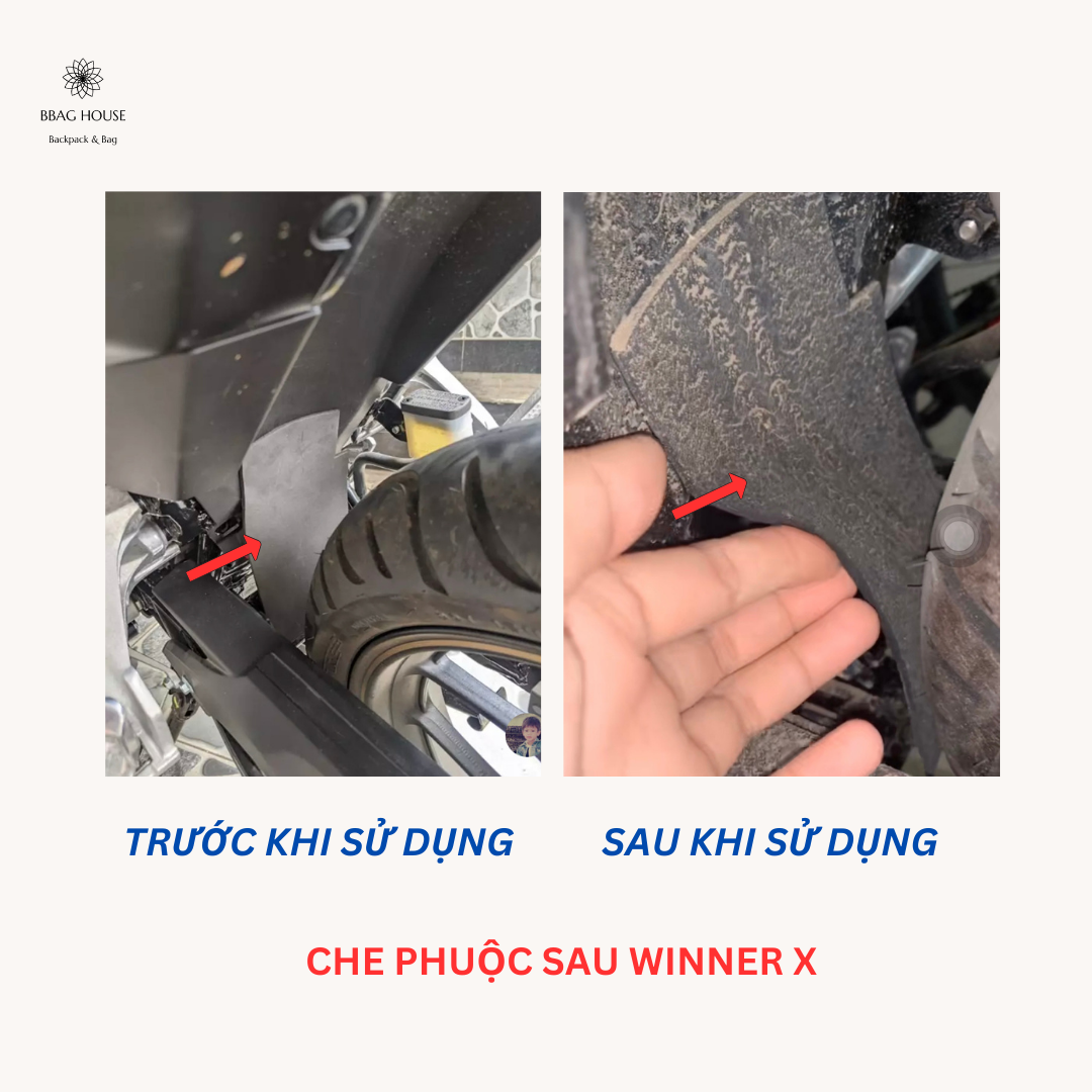 Miếng dán chắn bùn phuộc sau xe Winner