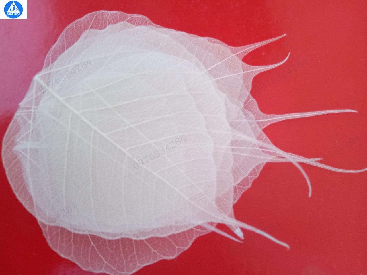 Set 10 Xương lá bồ đề phơi khô tư nhiên