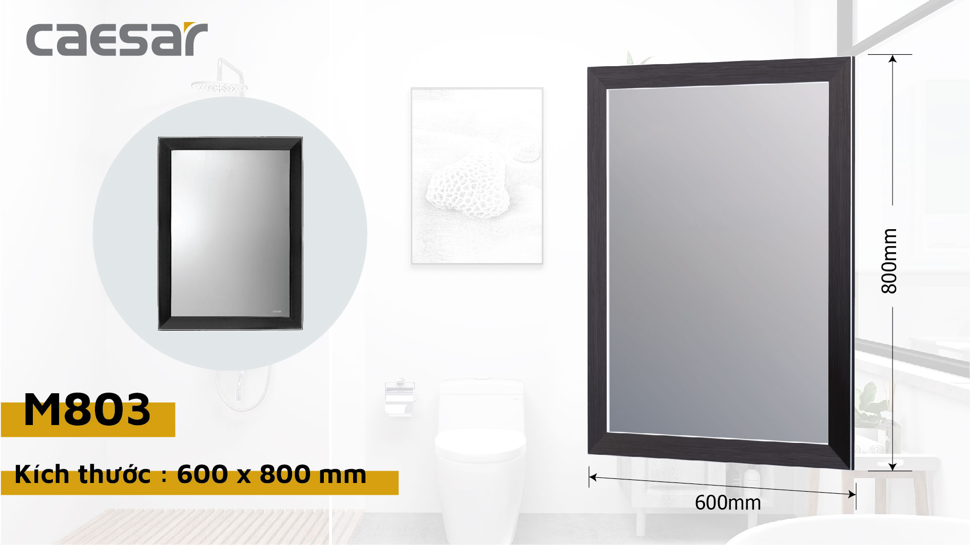 Gương Mỹ Thuật - M803