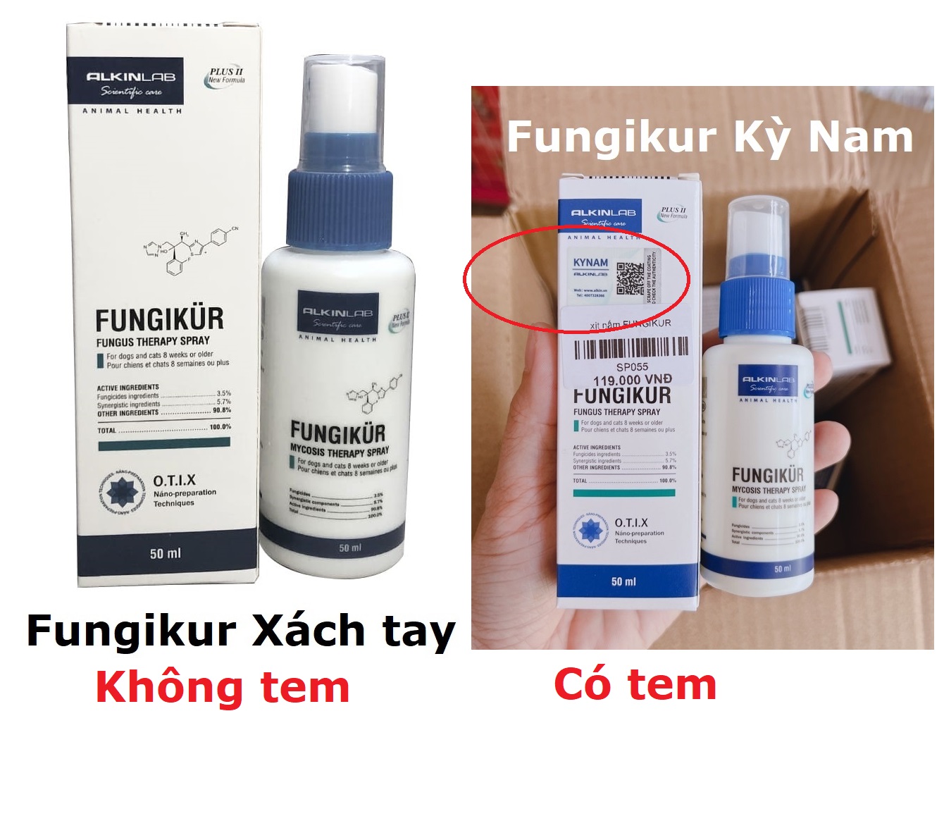 Hanpet - phun diệt nấm ngoài da Fungikur thuốc trị nấm trên chó mèo
