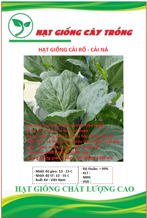 Hạt giống rau cải làn - 1 gói 5gram
