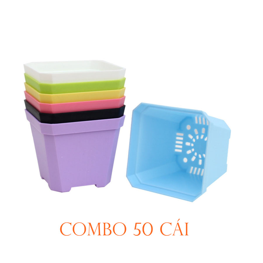 Chậu nhựa trồng sen đá, xương rồng, cây mini để bàn - kích thước miệng chậu 10cm x 10cm