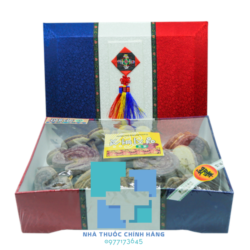 Nấm Linh Chi nội địa Hàn Quốc, hộp lụa 1000g