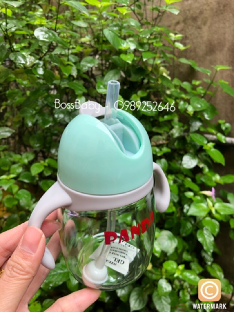 Bình Uống Nước Panda 310Ml
