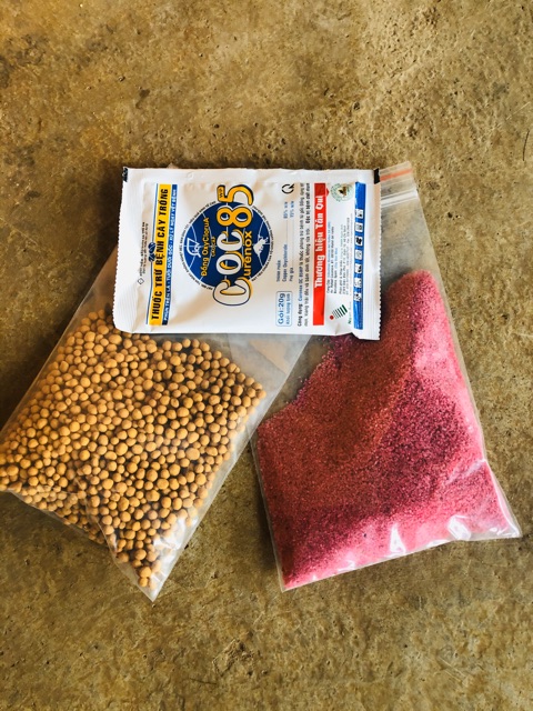 Combo liều thuốc cho sen đá-xương rồng (100gr thuốc tím-100gr phân tan chậm-1 gói  nấm Coc85)