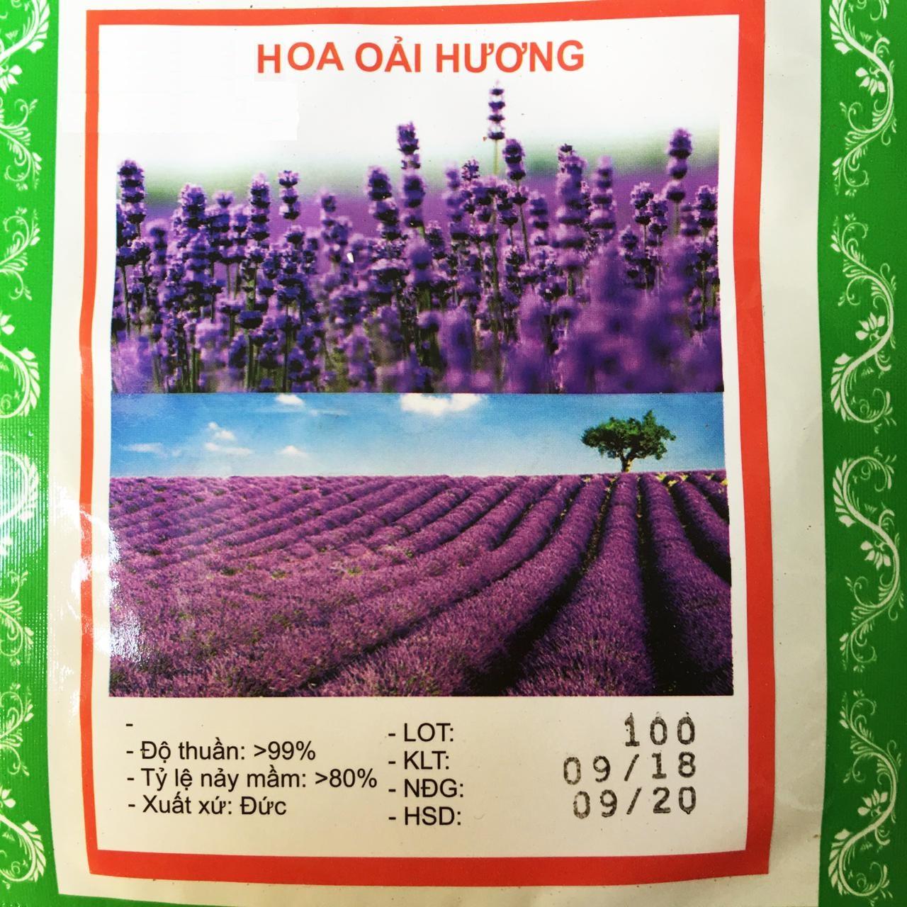 Hạt Giống Hoa Oải Hương Pháp