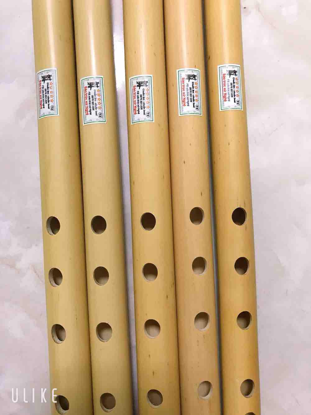 sáo dọc tone đô (dễ thổi nhất)