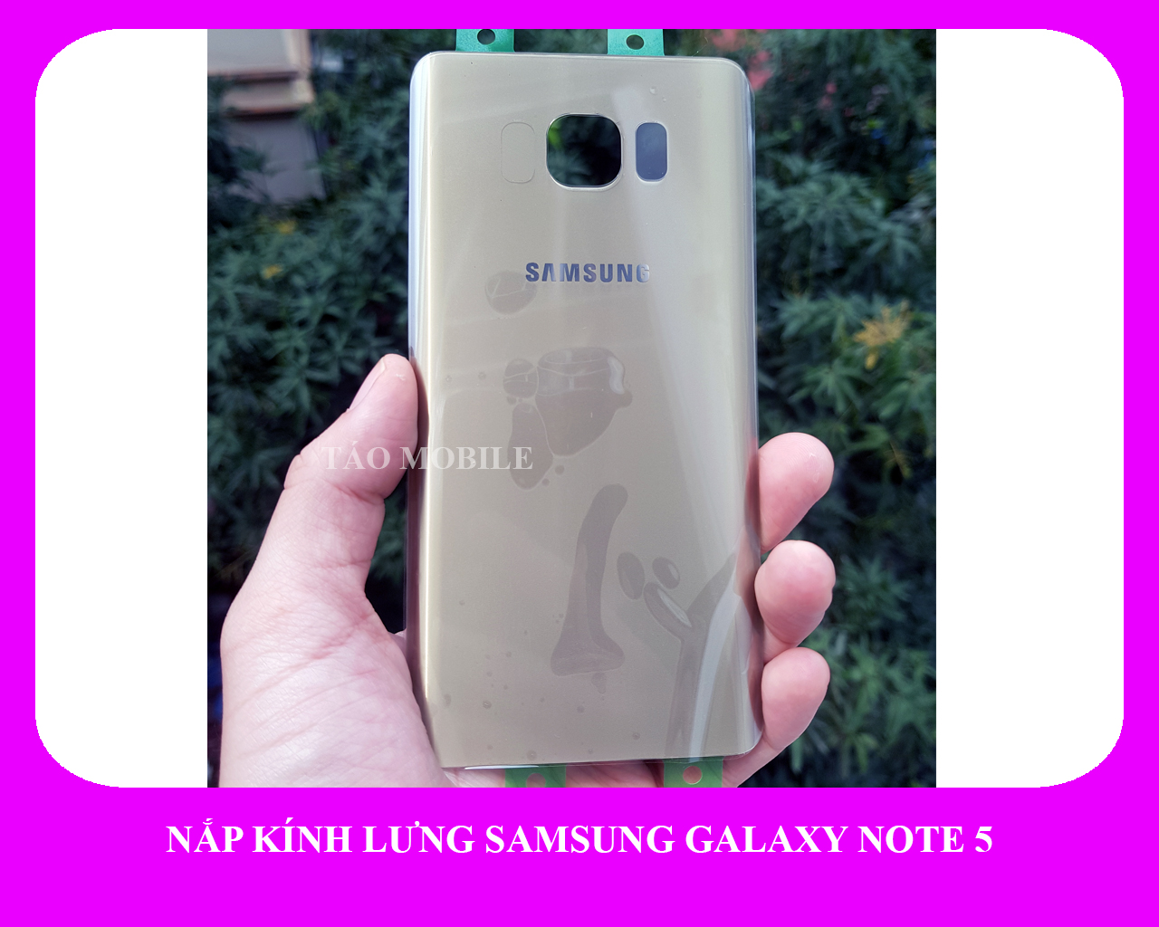 Nắp kính lưng Samsung Galaxy Note 5 zin công ty N920