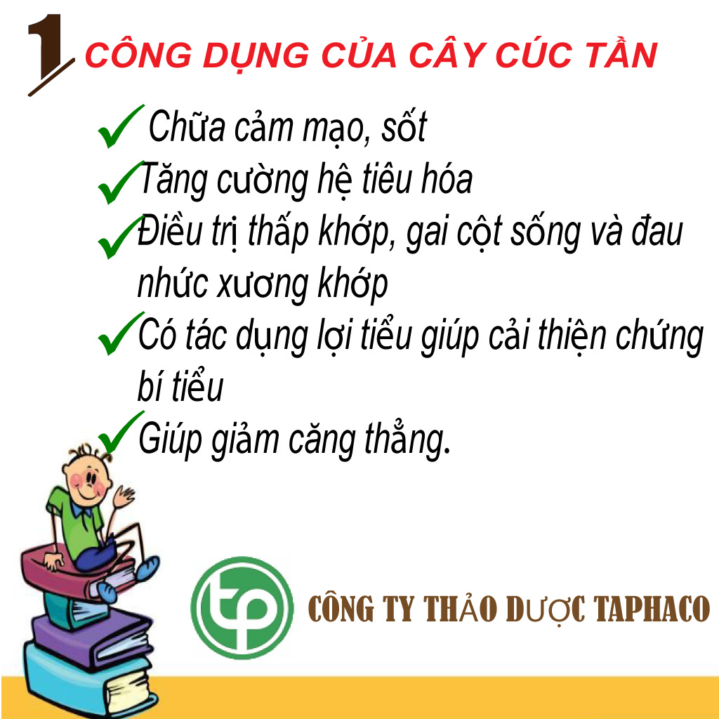 Cây cúc tần khô 500g - Thảo Dược Tấn Phát - Hàng công ty chất lượng  cao