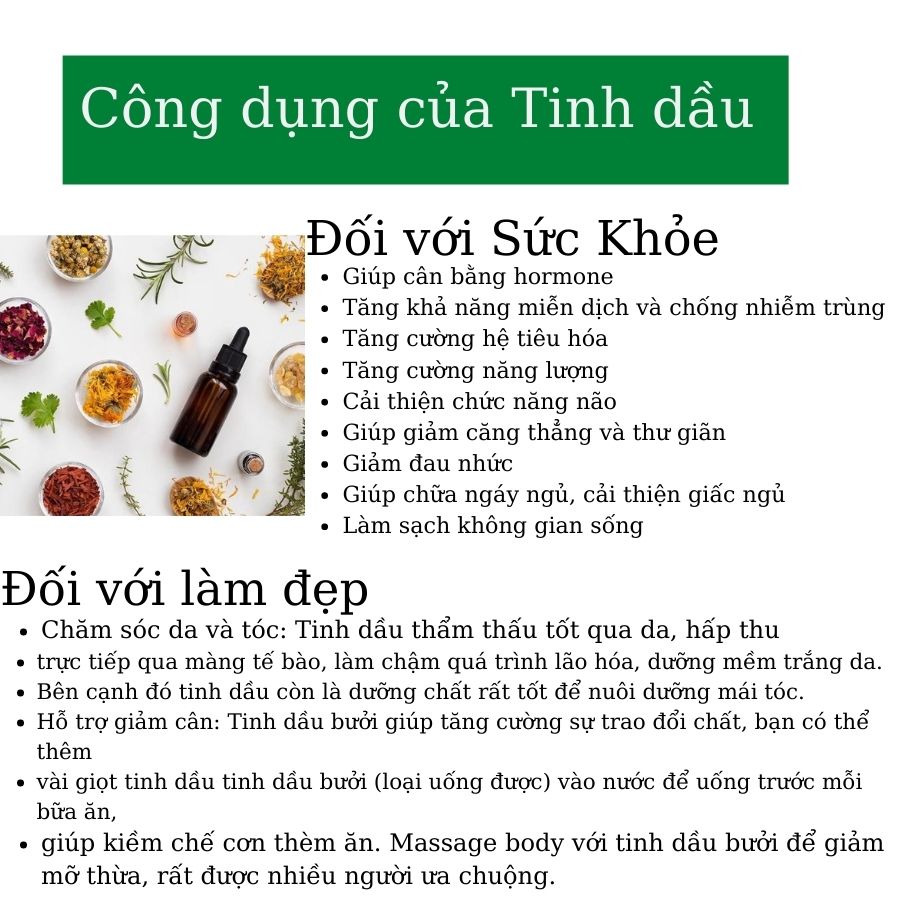 TINH DẦU MỸ CAROLINE- BẠC HÀ 10ML