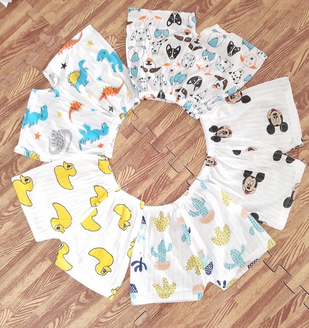 Combo 10 quần chục đùi  cotton giấy (KÈM QUÀ TẶNG)