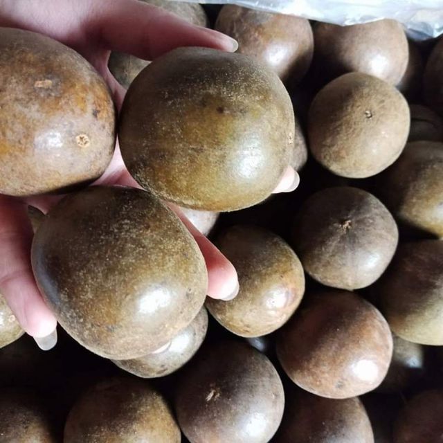 Hạt giống cây la hán quả - 5 hạt