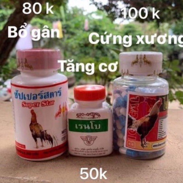 Phục hồi gân gối, cơ bắp, xương,canxi,bổ máu cho gà tơ gà chọi gà đá