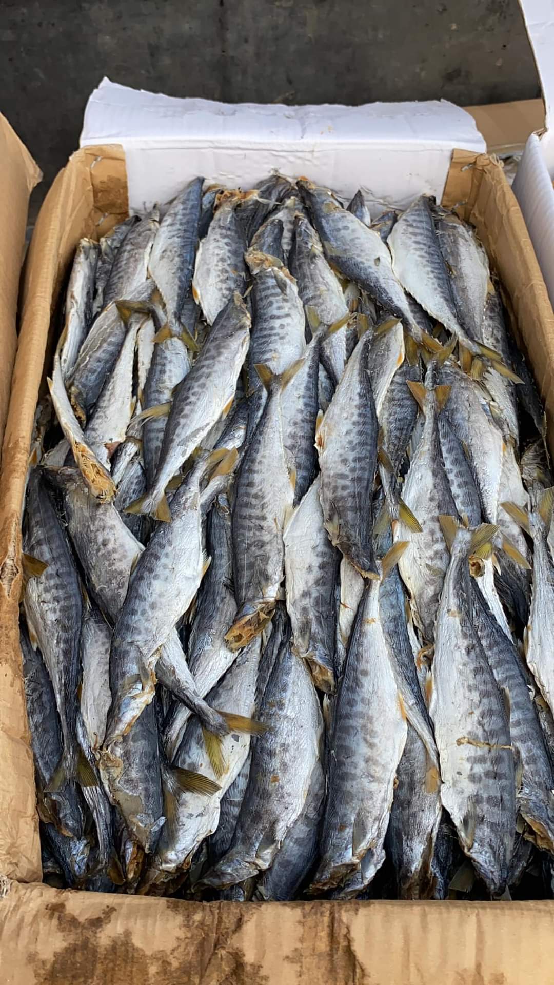 0,5KG CÁ THU KHÔ THỊT DAI CHẮC