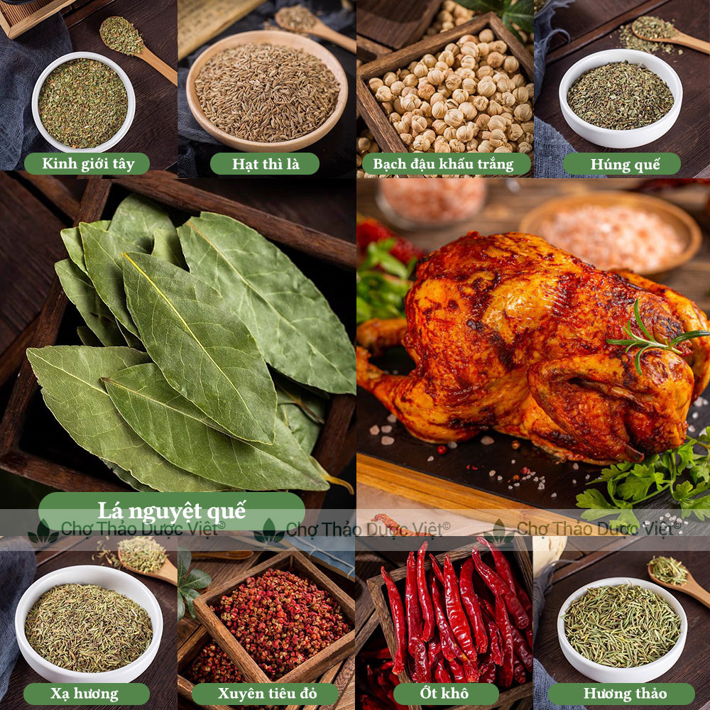 Lá nguyệt quế 100g, lá bay leaves và 20 loại gia vị hương thảo, húng quế, kinh giới, mùi tây, thì là