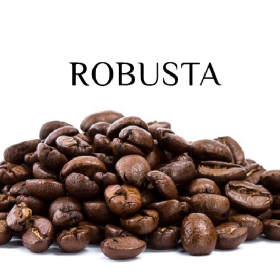 1KG CÀ PHÊ HẠT NHÂN SỐNG CHƯA RANG ROBUSTA NHÂN XUẤT KHẨU
