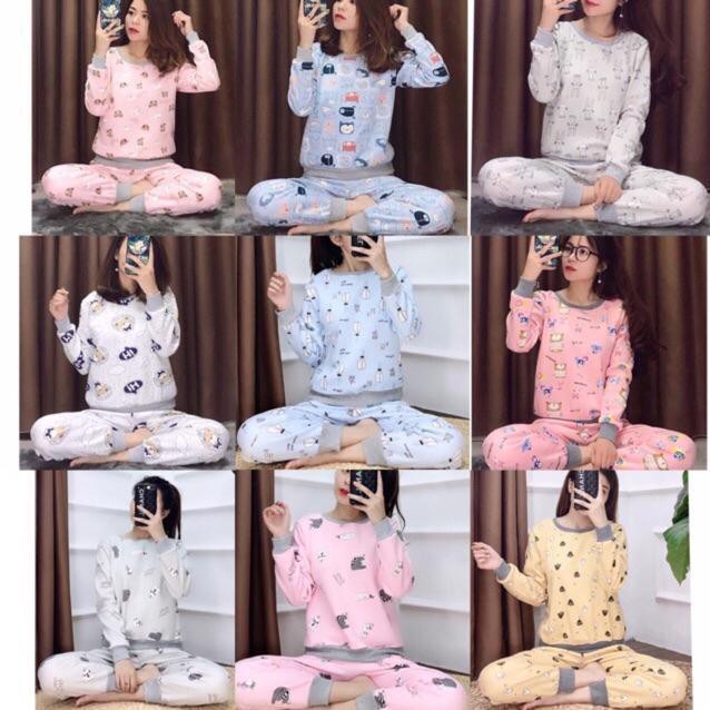 Bộ nỉ bông nữ siêu kute - ảnh thật