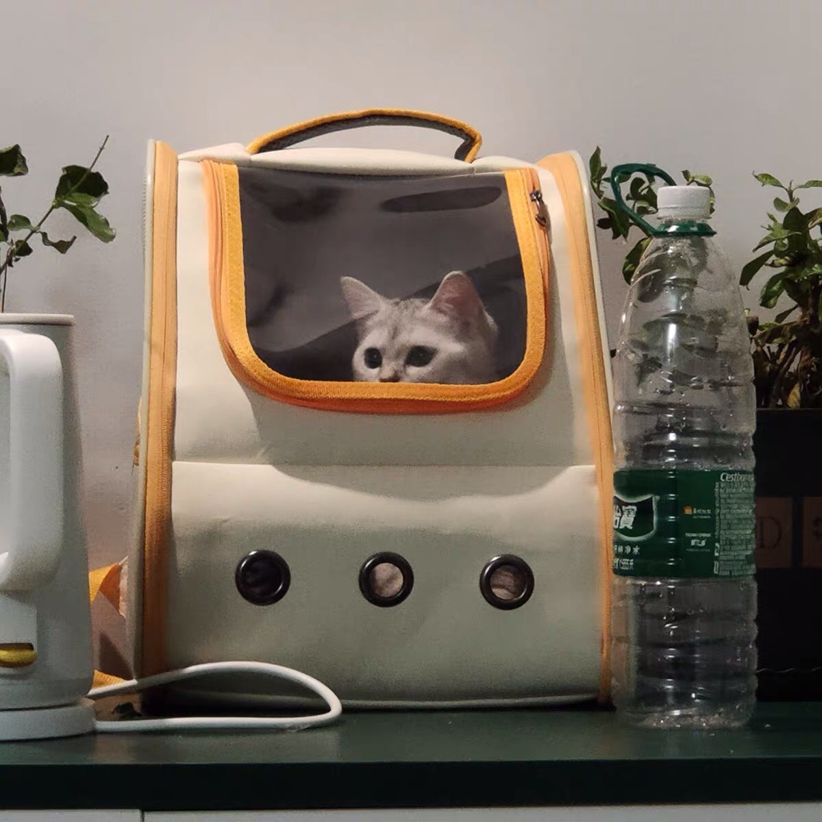 Balo Cationic cho chó mèo gấp gọn size lớn - 4pets official