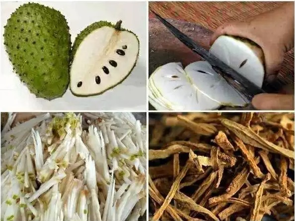Combo 2 túi zip chỉ đỏ Trà mảng cầu (100gr/túi)