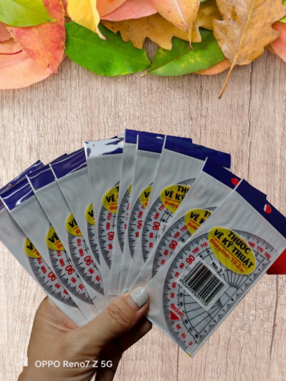 Thước kẻ nhựa học sinh WIN-Q (ĐỦ LOẠI)