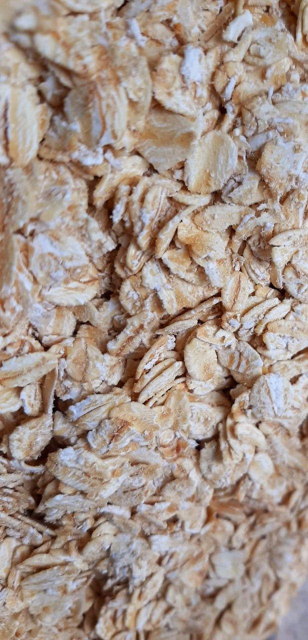 Yến mạch hamster