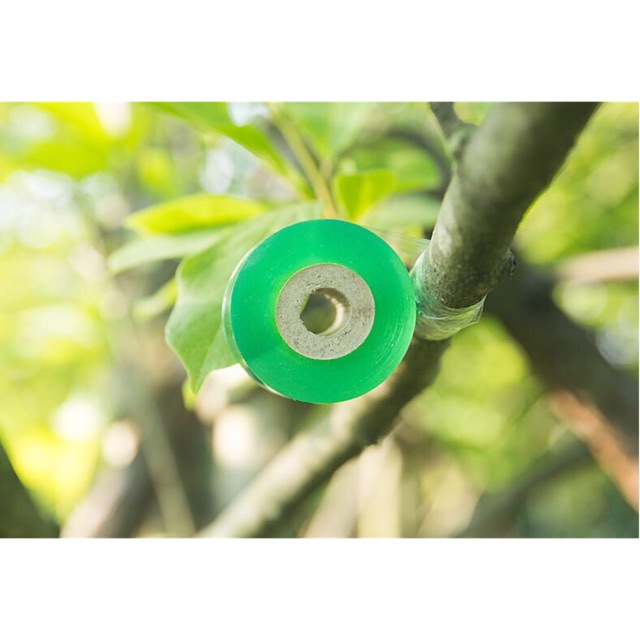 Băng nilon ghép cây chuyên dụng