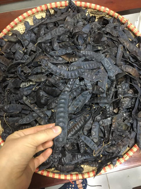 1kg bồ kết huế khô ( gội đầu , xông nhà loại 1 )