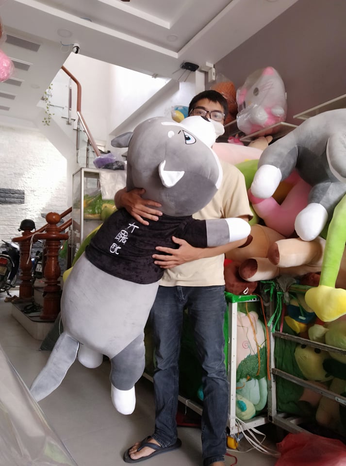 Chó Bông Husky Mèo Bông Husky