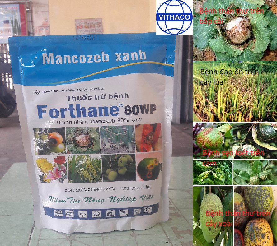 Thuốc trừ bệnh Forthane 80WP 1kg *Mancozeb xanh*