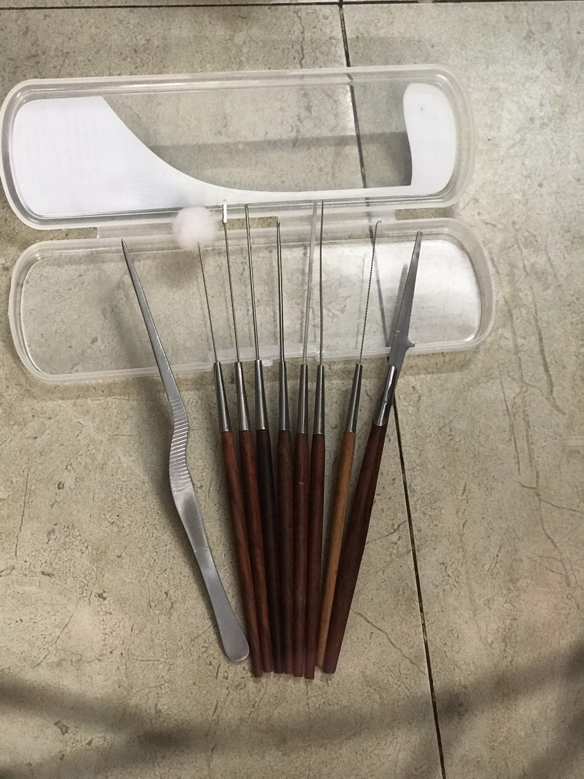 Bộ dụng cụ lấy ráy tai - móc ráy tai ( HỘP NHỰA - GỖ HƯƠNG )