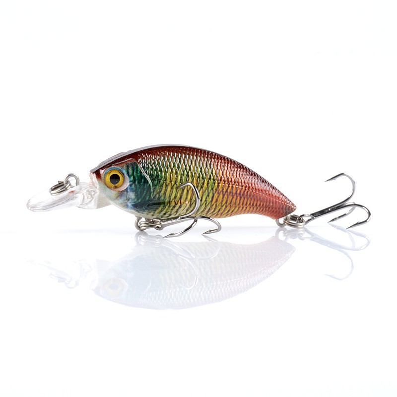 Mồi Lure Câu Cá 3D Giả 75Cm / 8G_ 008