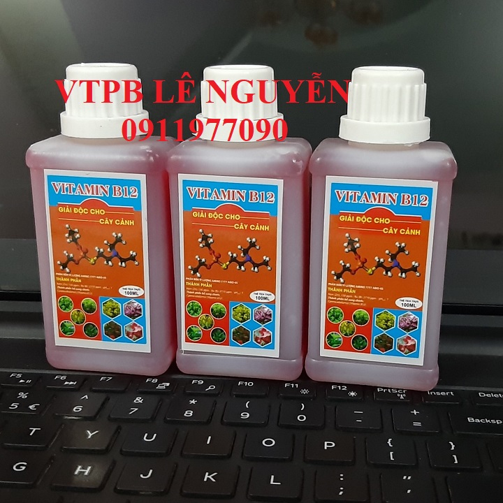 Vitamin B12 -  Cho lan