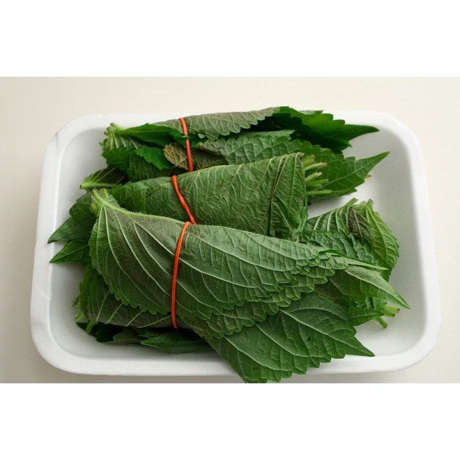 HẠT GIỐNG LÁ MÈ HÀN QUỐC