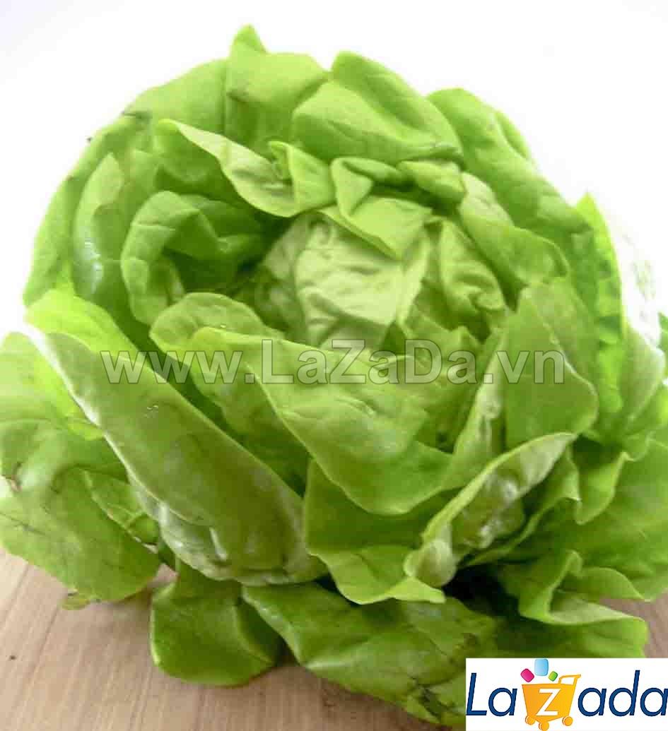 2Gr Hạt Giống Xà Lách Đăm (B1.202| B49*V54*M154)