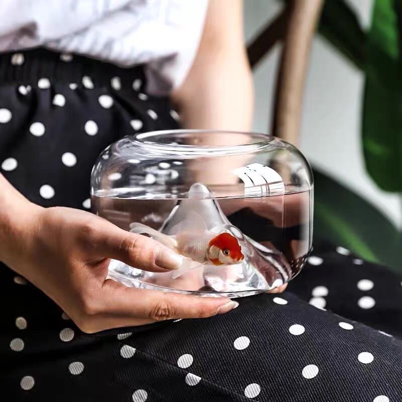 bể cá cảnh bằng thủy tinh để bàn