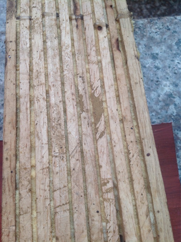 Trứng ruồi lính đen hộp 20g. 170k