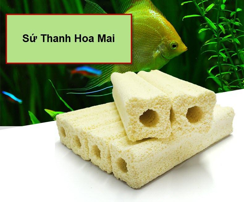 [Hoàn Tiền 10%] Sứ Thanh Hoa Mai (kích thước: 16*4*4cm)