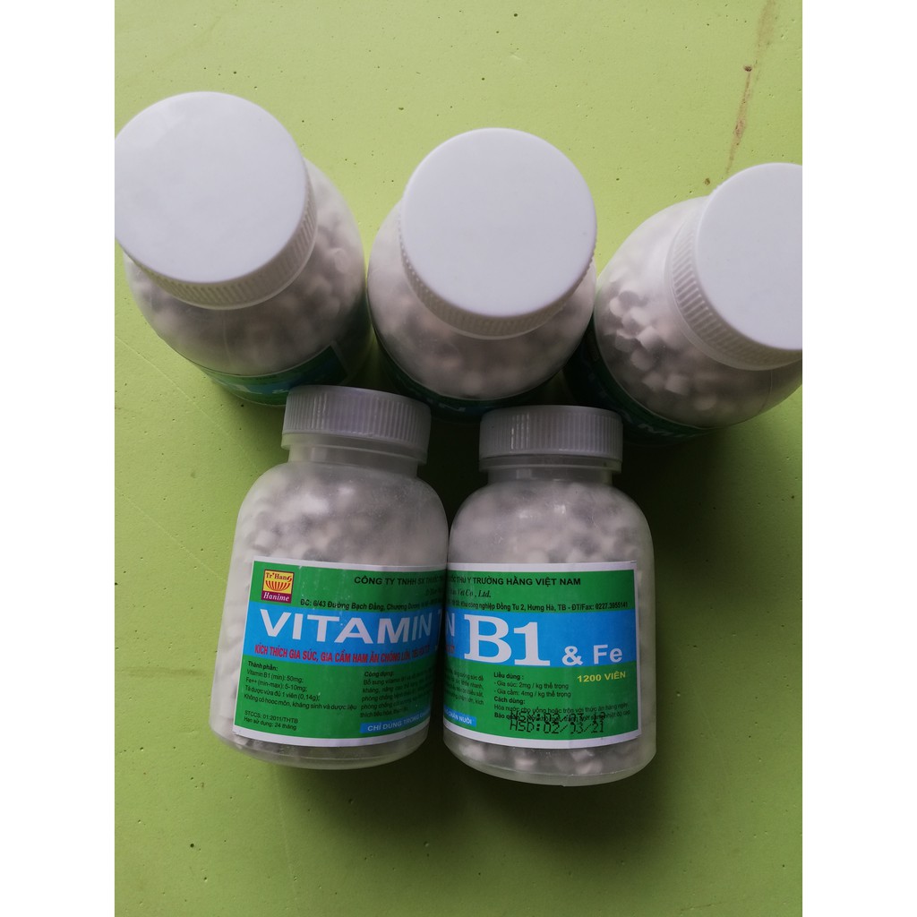 5 lọ VITAMIN B1 và Fe 1200 viên 200g KÍCH THÍCH GIA SÚC, GIA CẦM, CHÓ MÈO HAM ĂN CHÓNG LỚN, TIÊU HÓA TỐT