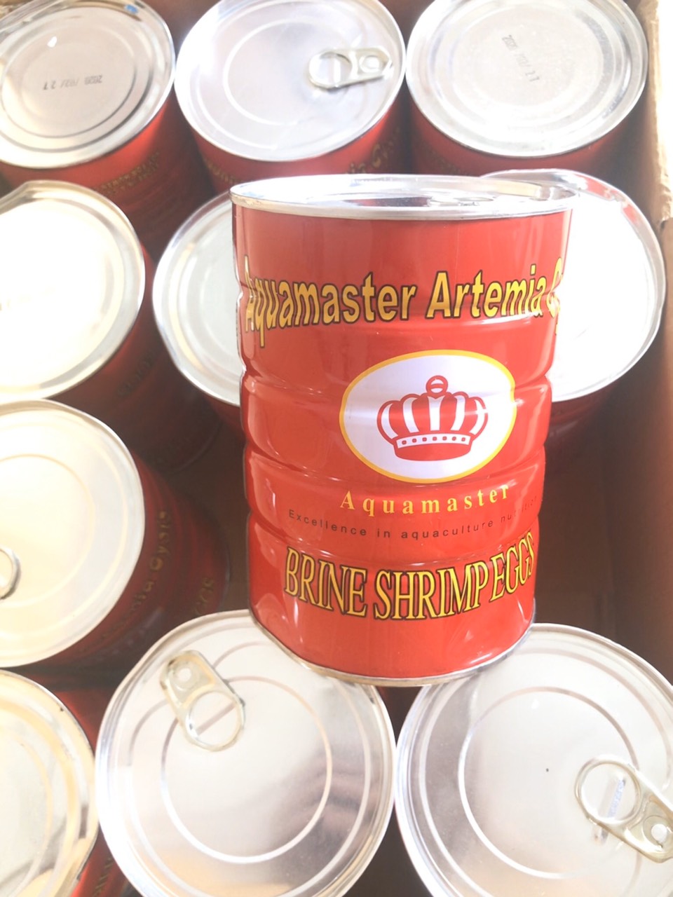 [HCM]Trứng Artemia - Lon đỏ. 425gr