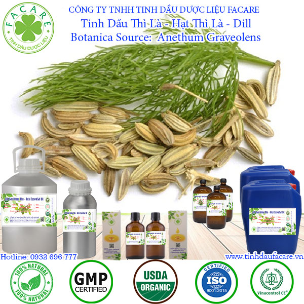 Tinh dầu Thì Là Dill essential oil - 10ml