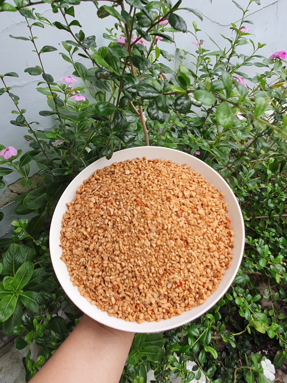 100g Muối tôm Tây Ninh chính gốc cực ngon-muối tôm tây ninh-Đồ Ăn Vặt