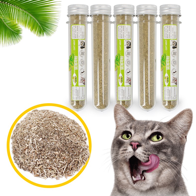 Cỏ Mèo Canip Bạc Hà Catnip Cho Mèo thư giãn cho Mèo