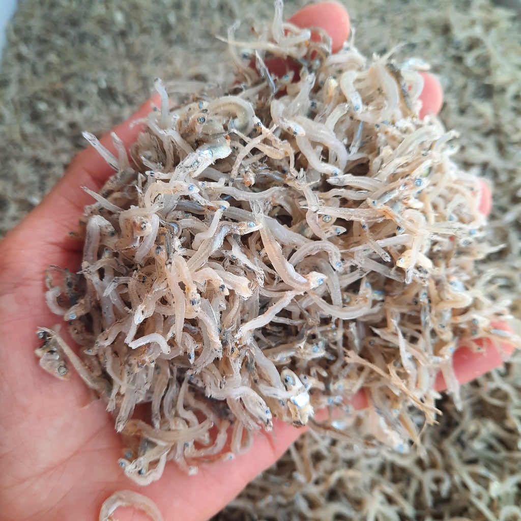 Cá Cơm Mờm Sữa Trắng 1kg - Khô Cá Cơm Đặc Sản Nha Trang