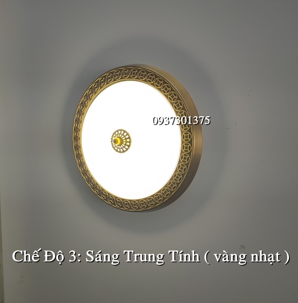 Đèn ốp Trần Cao Cấp Y018 Ánh Sáng Led 3 Chế Độ