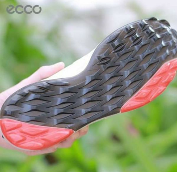 Giày Ecco Golf Biom Hybrid 3 núm vặn - Ecco : mvp skt