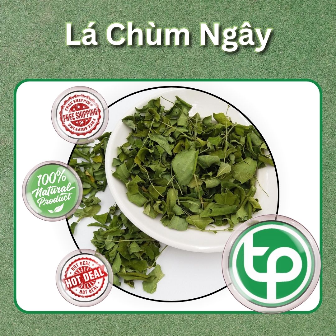 Lá chùm ngây khô 200g - Thảo Dược Tấn Phát