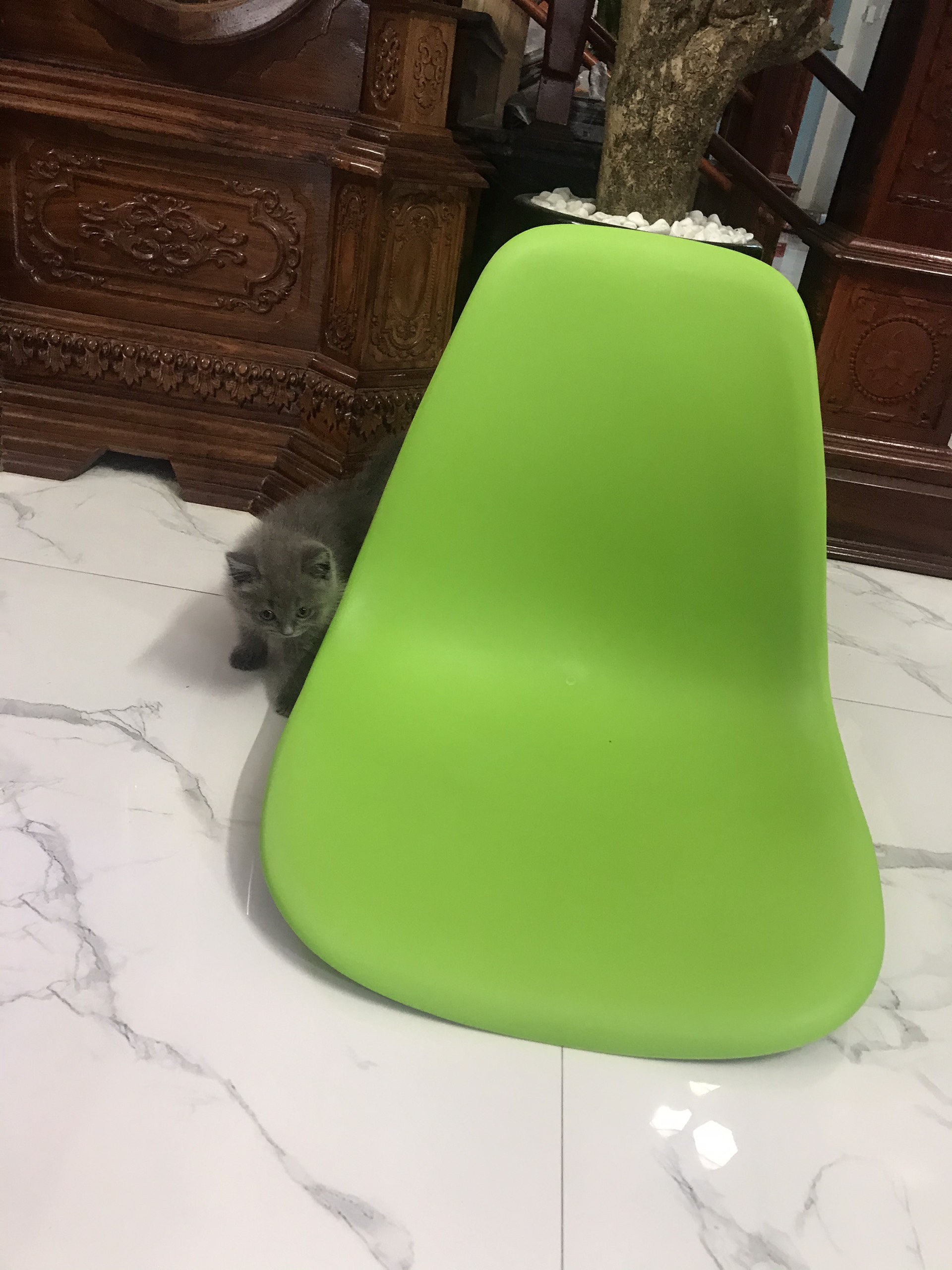 MẶT GHẾ NHỰA EAMES MẶT GHẾ CAFE ĐỦ MÀU